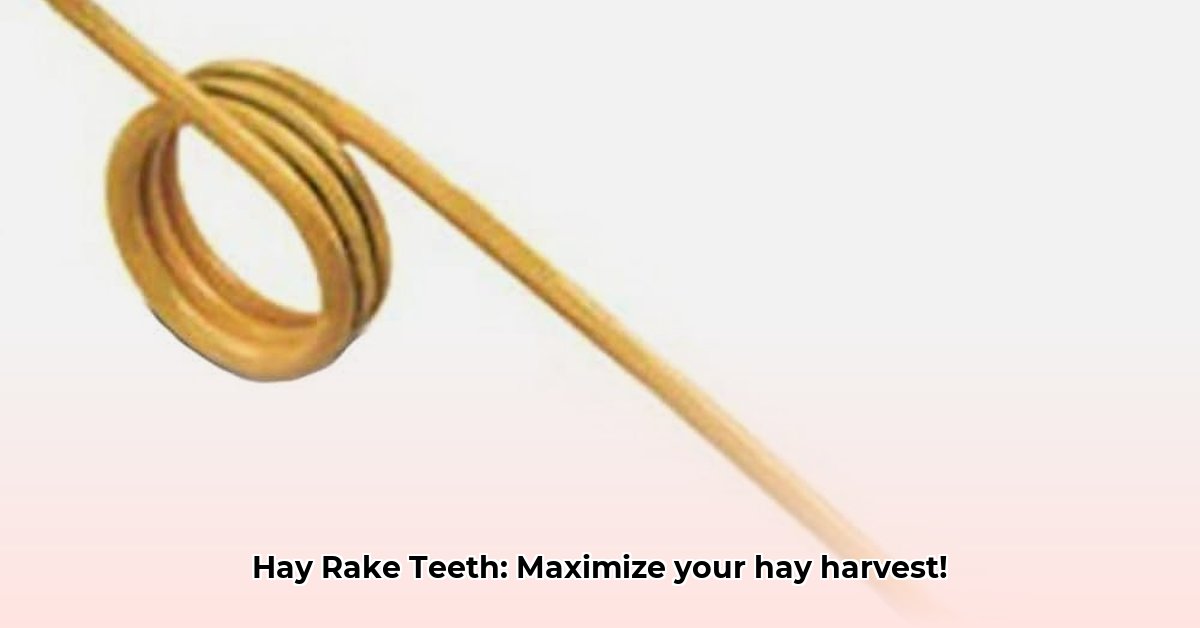 hay-rake-teeth-tractor-supply
